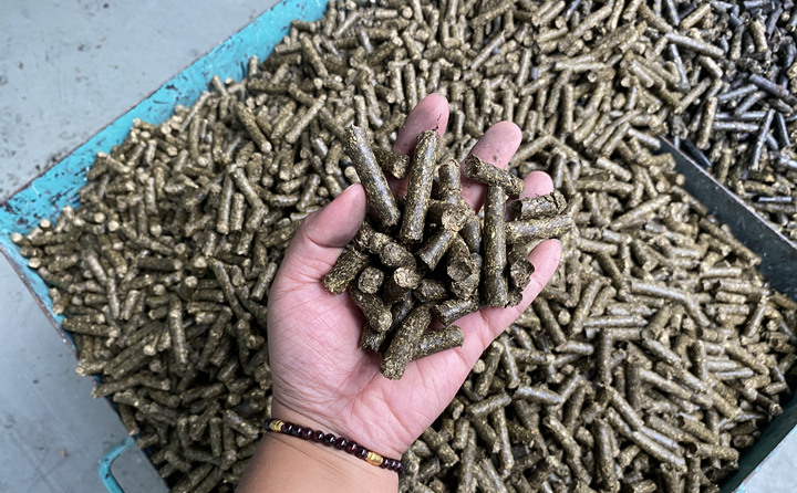 生物质燃料颗粒机的颗粒燃料