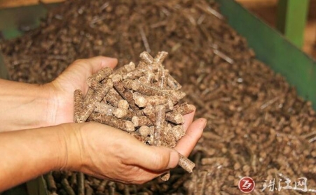 云南省迤车镇：废枝杂木“变身”环保生物质颗粒燃料